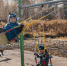 Uw9AsAf66-c.jpg - Газета Городок